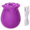 Flower Suction Vibrator 4